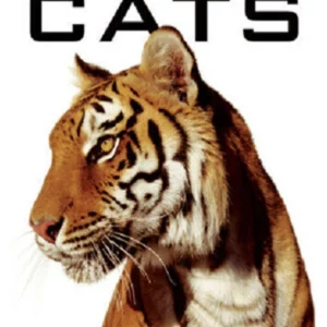 The Big Cats