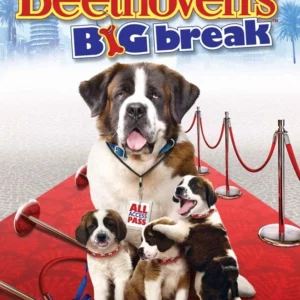 Beethoven's Big Break