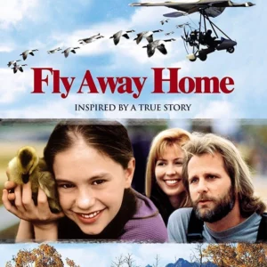 Fly Away Home