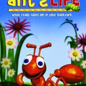 An Ant's Life