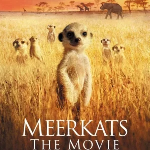 Meerkats - The Movie