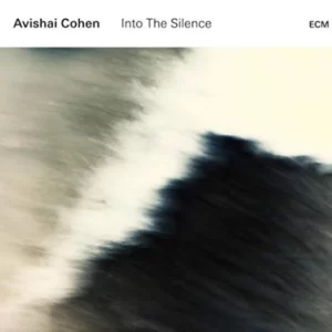 Into The Silence