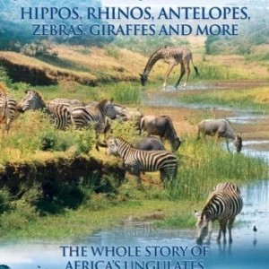 Animal Nation DVD