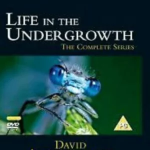 Life in the Undergrowth