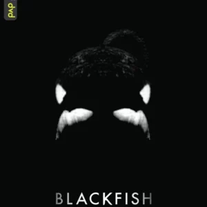 Blackfish