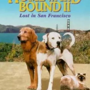 Homeward Bound 2: Lost in San Francisco