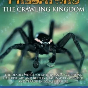 Predators - The Crawling Kingdom