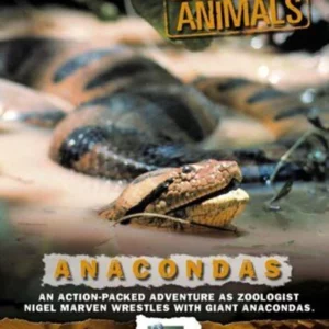 World's Most Dangerous Animals - Anaconda