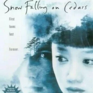 Snow Falling On Cedars