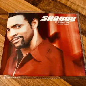 Shaggy - It Wasn't Me