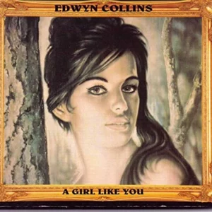 A Girl Like You