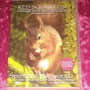 Red Squirrels
