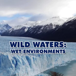 Wild Waters - Wet Environments