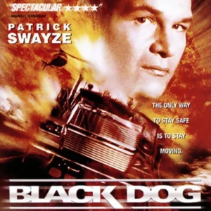 Black Dog